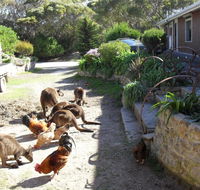 Anchorage Apartments - Accommodation Batemans Bay