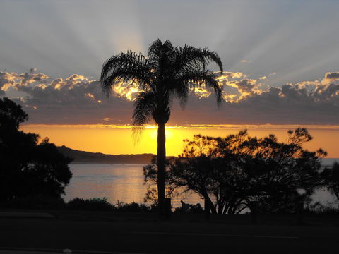 API Pelican Beach Front Apartments Kalbarri - Accommodation Batemans Bay 2