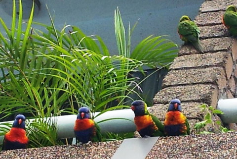 Aquajet Motel - Accommodation Batemans Bay 3