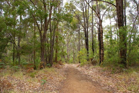 Ashleigh - Accommodation Batemans Bay 2