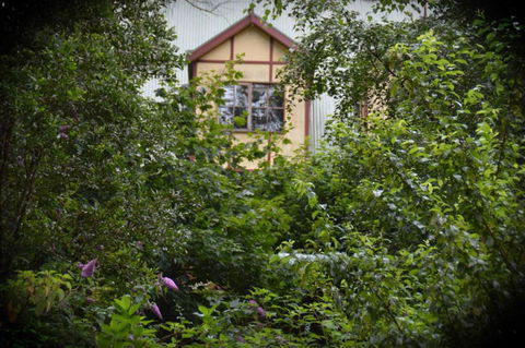 Mountain Lodge - Accommodation Batemans Bay 2