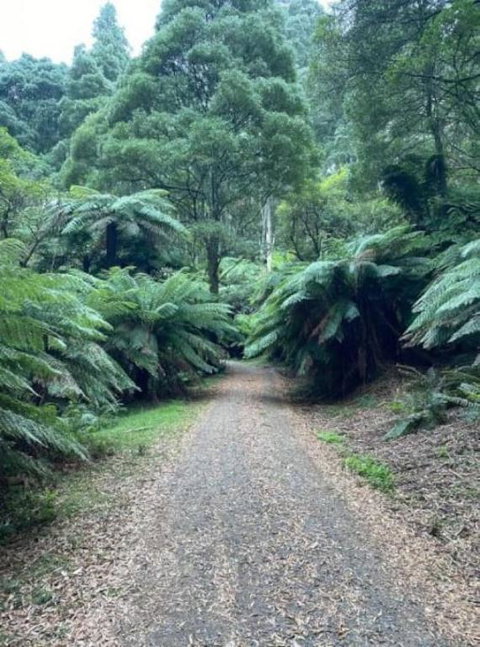 Olinda Enchanted Tower Spa Gas Log Fire And Netflix - Accommodation Batemans Bay 1
