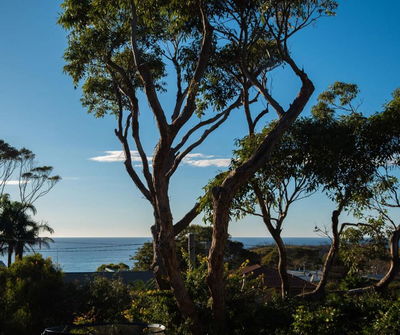 Ocean Views Walk to Malua Beach EV & Pet Friendly
