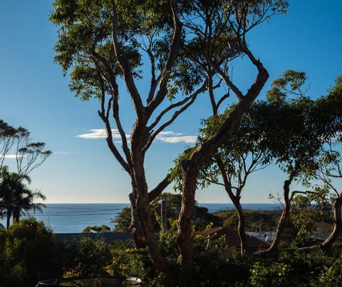 Ocean Views Walk To Malua Beach EV & Pet Friendly - Accommodation Batemans Bay 0