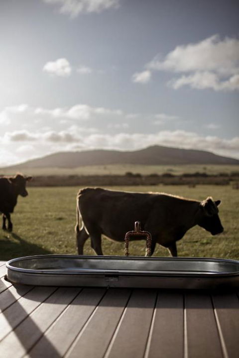 Peter The Tiny Cabin In Esperance - Accommodation Batemans Bay 1