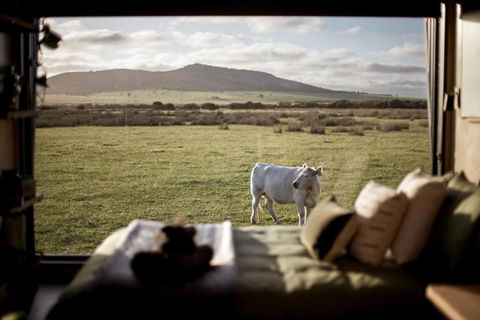 Peter The Tiny Cabin In Esperance - Accommodation Batemans Bay 0