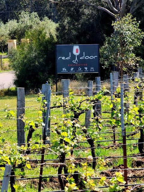 Red Door Collective - RDC Vineyard Estate, Luxury Adult Only Stay - Accommodation Batemans Bay 1