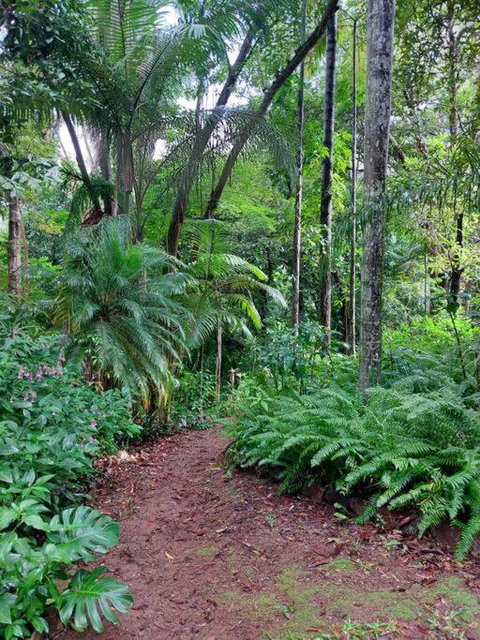 Rainforest Retreat-Fireplace-BBQ-3 Acres- - Accommodation Batemans Bay 0