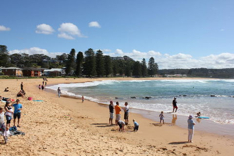 Avoca Beach Cape Cottage - Accommodation Batemans Bay 0