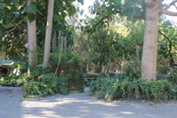 Book Macclesfield Accommodation Vacations Accommodation Batemans Bay Accommodation Batemans Bay