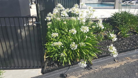 Bathurst Gold Panner - Accommodation Batemans Bay 1