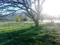 Book Dadswells Bridge Accommodation Vacations Accommodation Batemans Bay Accommodation Batemans Bay