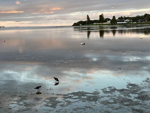 River Studio - Idyllic Location - Accommodation Batemans Bay 0
