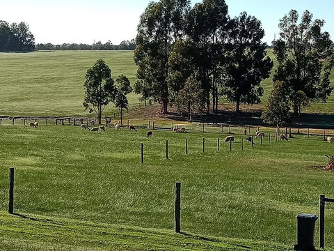 Redtail Ridge Cottages - Accommodation Batemans Bay 1