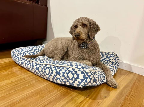 Relax And Reconnect At MaluaBay - Accommodation Batemans Bay 1