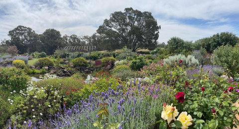 River Gardens Axedale Pet Friendly Farmstay B&B - Accommodation Batemans Bay 0