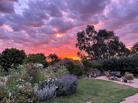 River Gardens Axedale Pet Friendly Farmstay B&B - Accommodation Batemans Bay 3