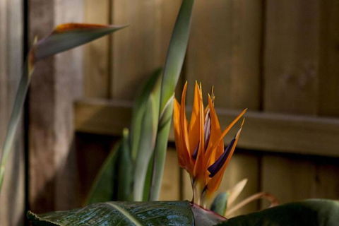 Rose Cottage - Accommodation Batemans Bay 1