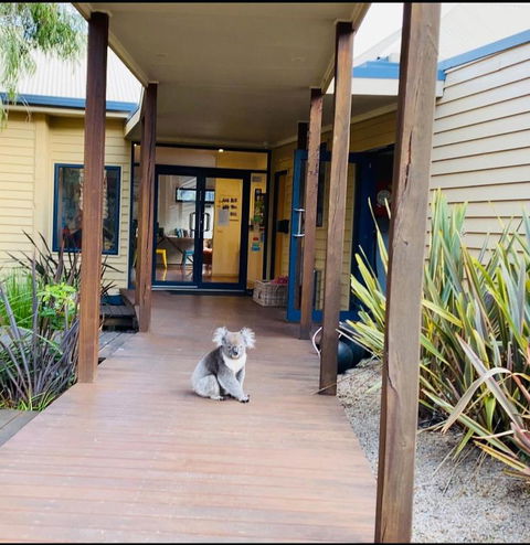 Sandpiper Motel Apollo Bay - Accommodation Batemans Bay 3