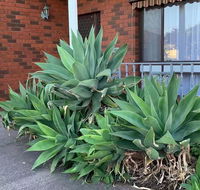 Beautiful Bedroom in Bentleigh East - Accommodation Batemans Bay