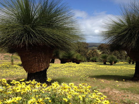 Bed + Bauhaus - Accommodation Batemans Bay 1