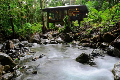 Black Palm Cape Tribulation - Accommodation Batemans Bay 2