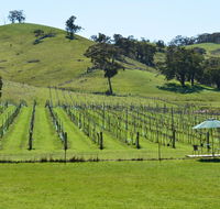Blue House at Mountainside Wines - Accommodation Batemans Bay