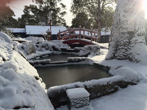 Blue Lake Lodge - Accommodation Batemans Bay 3