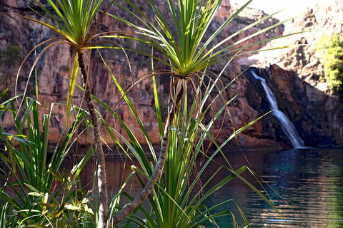 3-Day Kakadu 4WD Camping Safari From Darwin - Accommodation Batemans Bay 2
