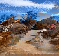 The Big Wave Rock Private Day Tour - Accommodation Batemans Bay