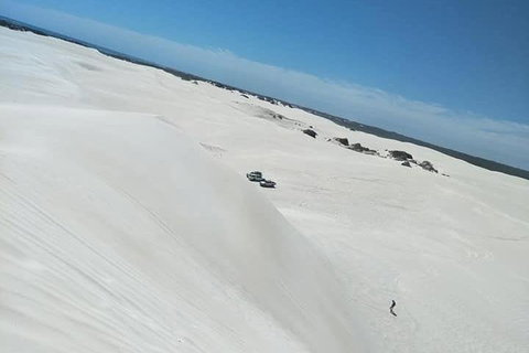 Yanchep & Lancelin - Wildlife, Cave And Sands - Accommodation Batemans Bay 3