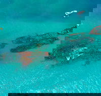 Private Tangalooma Wrecks Tour - Accommodation Batemans Bay