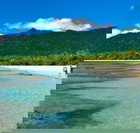 5-Day Best of Cairns with Daintree Kuranda and Great Barrier Reef - Accommodation Batemans Bay