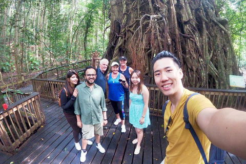 Cairns 4WD Waterfall And Rainforest Tour Including Kuranda Scenic Railway - Accommodation Batemans Bay 0