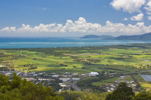3-Day Best Of Cairns Combo: The Daintree Rainforest, Great Barrier Reef, And Kuranda - Accommodation Batemans Bay 3