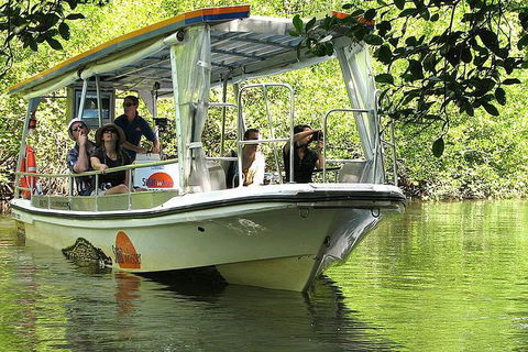 3-Day Best Of Cairns Combo: The Daintree Rainforest, Great Barrier Reef, And Kuranda - Accommodation Batemans Bay 4