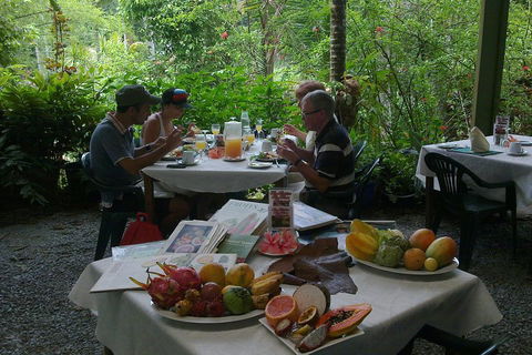 3-Day Best Of Cairns Combo: The Daintree Rainforest, Great Barrier Reef, And Kuranda - Accommodation Batemans Bay 5