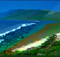 Cairns Reef and Rainforest Combo Daintree Rainforest and the Great Barrier Reef - Accommodation Batemans Bay
