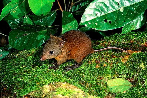 3-Day Small-Group Tour Of North Queensland With Pick Up - Accommodation Batemans Bay 0