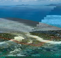 4-Day Cairns with Great Barrier Reef and Daintree Rainforest - Accommodation Batemans Bay