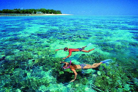 4-Day Cairns With Great Barrier Reef And Daintree Rainforest - Accommodation Batemans Bay 2