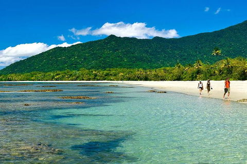 Private Daintree National Park Day Tour From Cairns Including Cape Tribulation And Mossman Gorge - Accommodation Batemans Bay 0