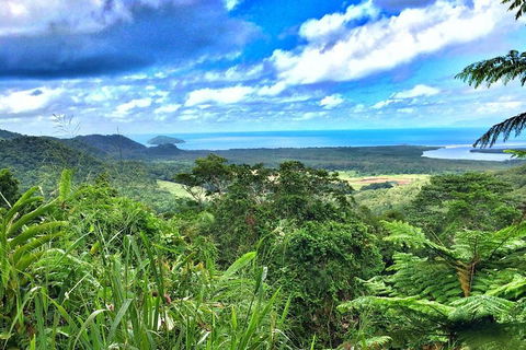 Private Daintree National Park Day Tour From Cairns Including Cape Tribulation And Mossman Gorge - Accommodation Batemans Bay 2