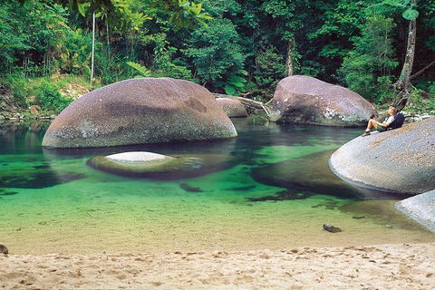 Private Daintree National Park Day Tour From Cairns Including Cape Tribulation And Mossman Gorge - Accommodation Batemans Bay 4