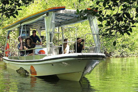 Private Daintree National Park Day Tour From Cairns Including Cape Tribulation And Mossman Gorge - Accommodation Batemans Bay 5