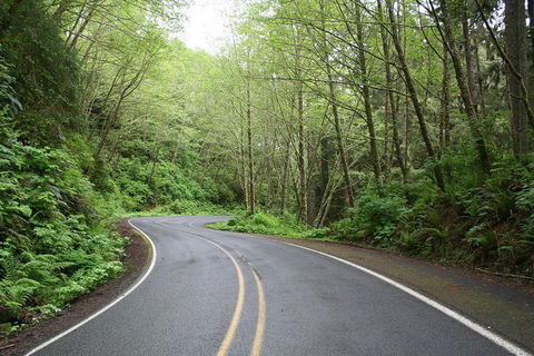 Cruise Ship Shore Excursion - Private Great Ocean Road Full Day Tour (12 Hour) - Accommodation Batemans Bay 3