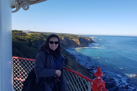 Great Ocean Road Full Day Private Experience - Accommodation Batemans Bay 1