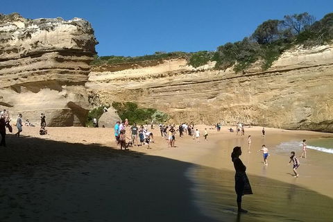 Great Ocean Road Full Day Private Experience - Accommodation Batemans Bay 3
