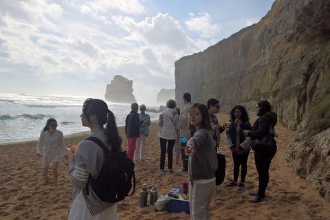 Great Ocean Road Full Day Private Experience - Accommodation Batemans Bay 4