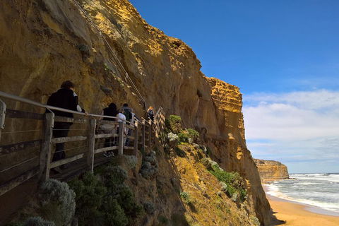 Private Express Experience - 12 Apostles - Accommodation Batemans Bay 3